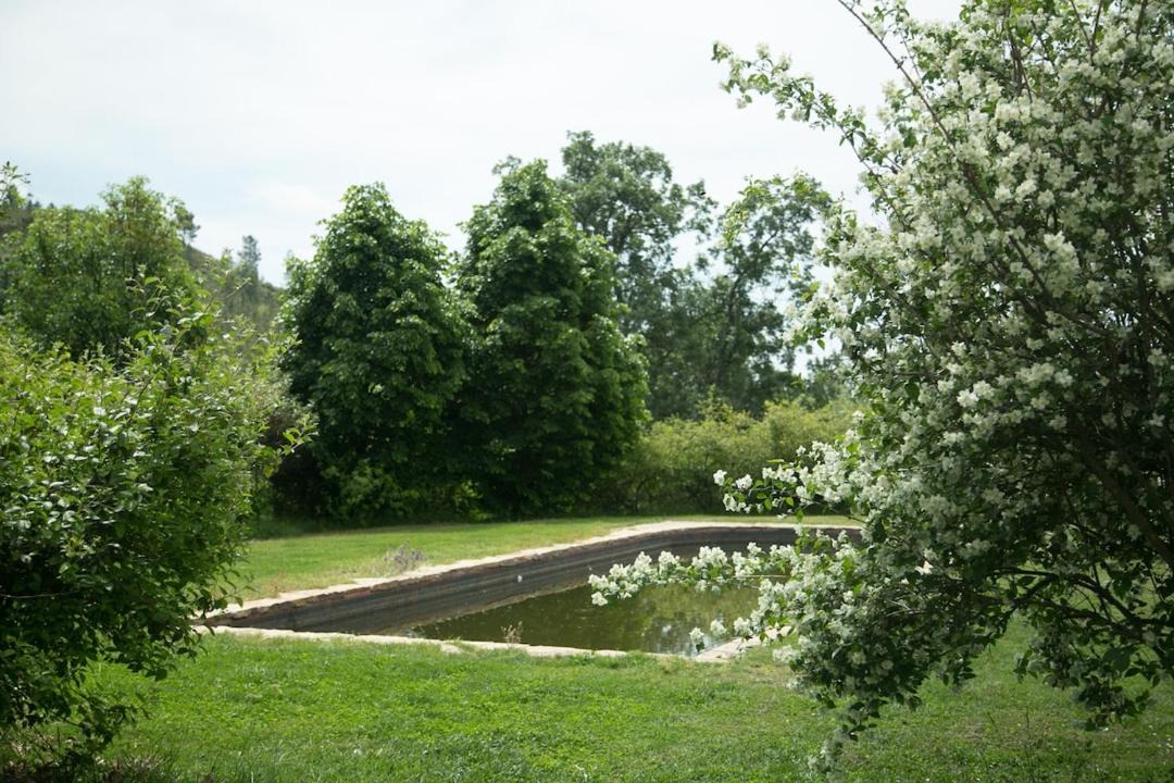 Photo of Outdoor in Villanueva De La Vera