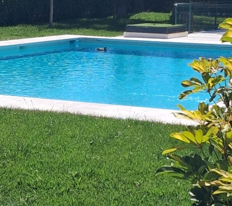 Photo of Others in Torre del Mar