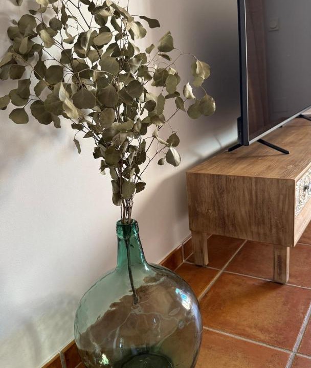 Photo of Livingroom in Almerimar