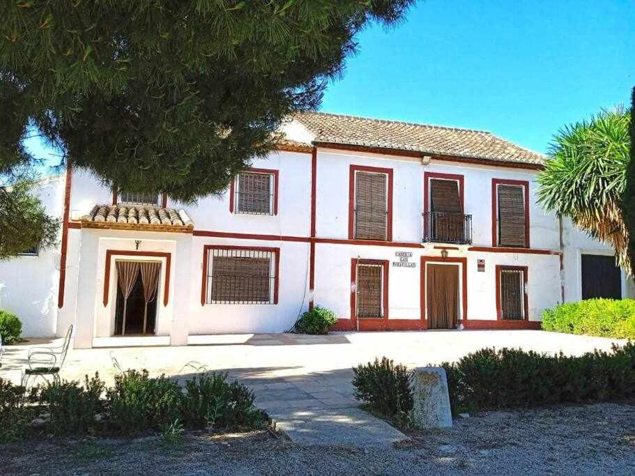 Photo of Others in Antequera