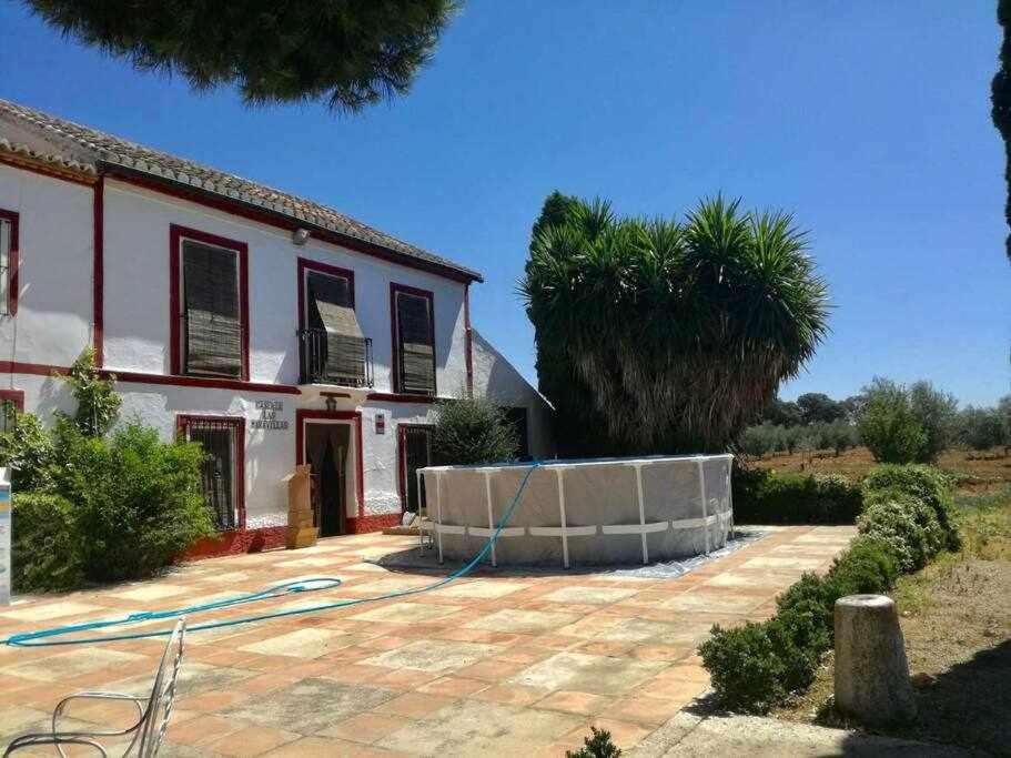 Photo of Others in Antequera
