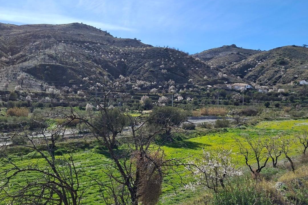 Photo of Others in Los Cerricos