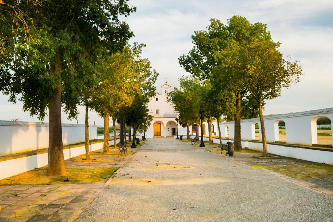 Photo of Others in Manzanilla