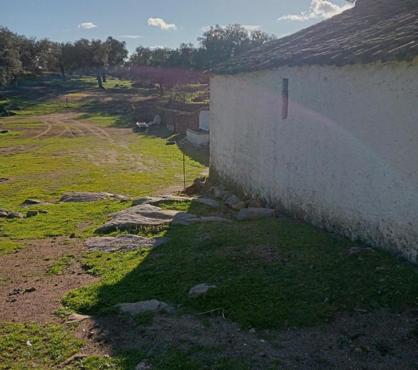 Photo of Others in El Real de la Jara