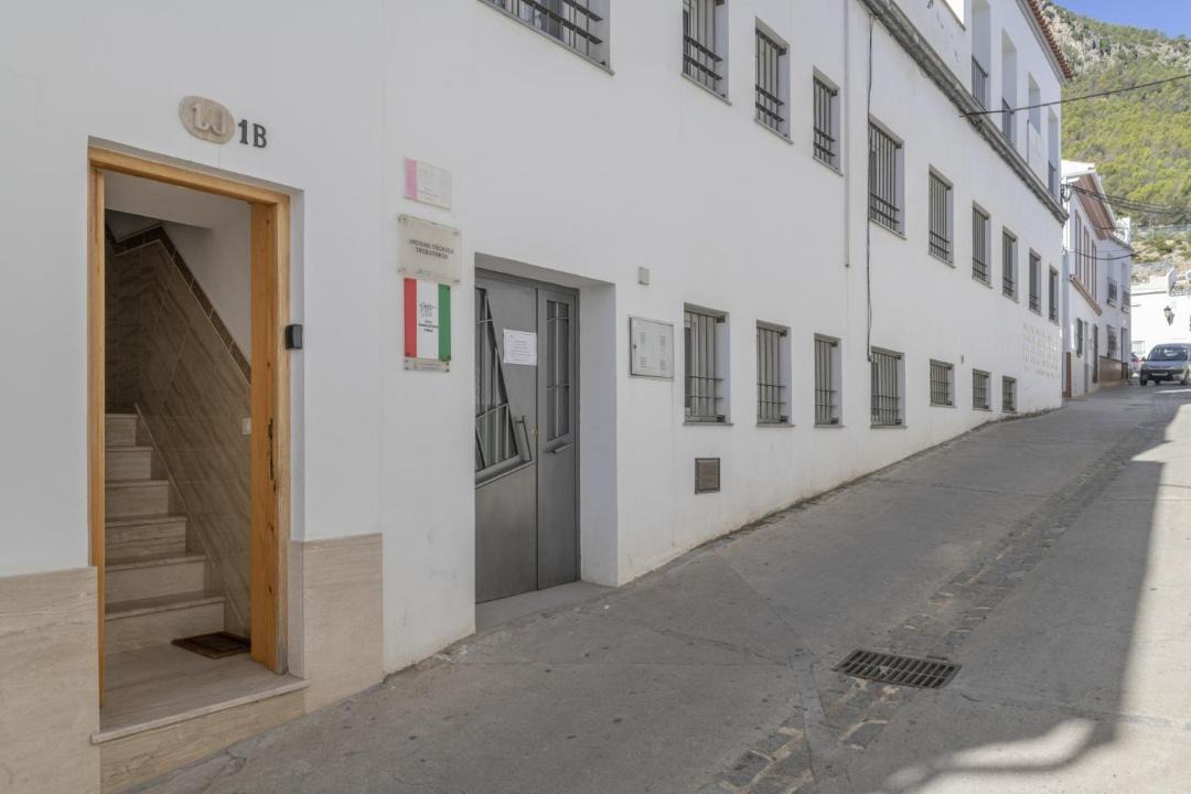 Photo of Others in Algodonales