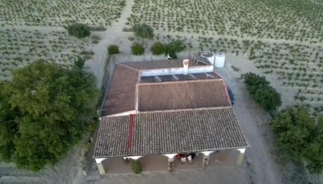 Photo of Others in Jerez de la Frontera