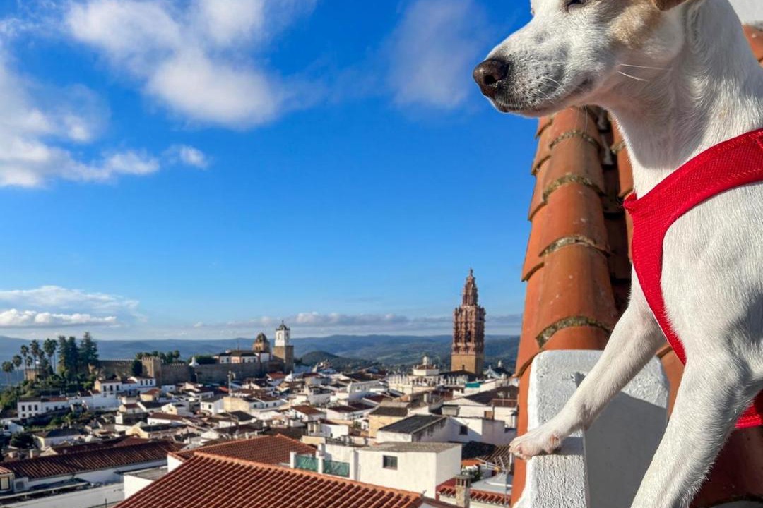 Photo of Others in Jerez de los Caballeros