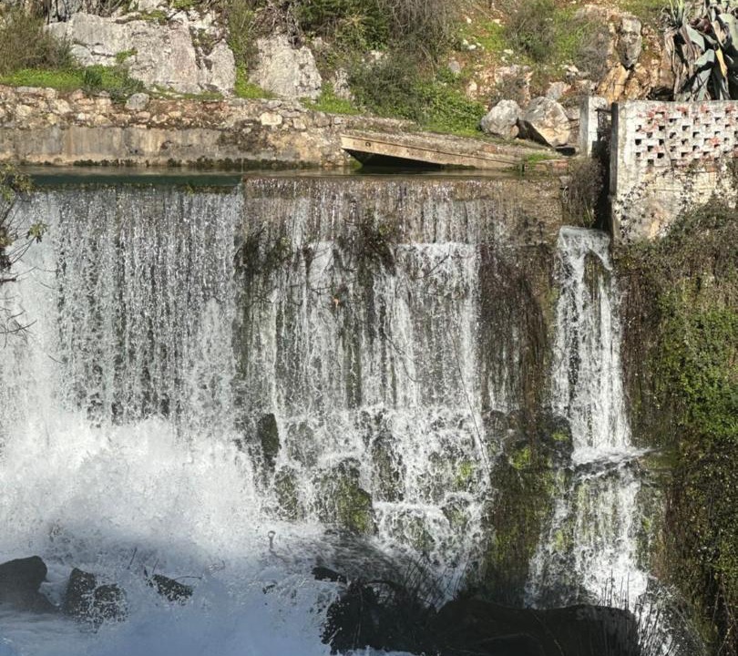 Photo of Others in Benaojan