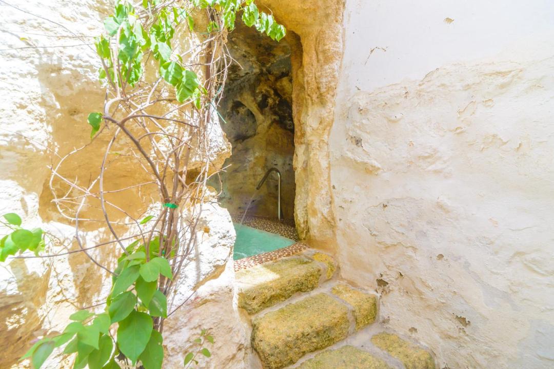 Photo of Others in Penaflor