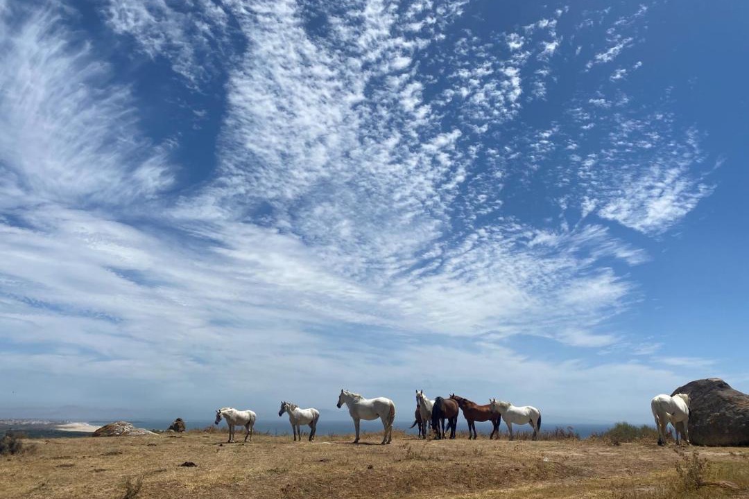 Photo of Others in Tarifa