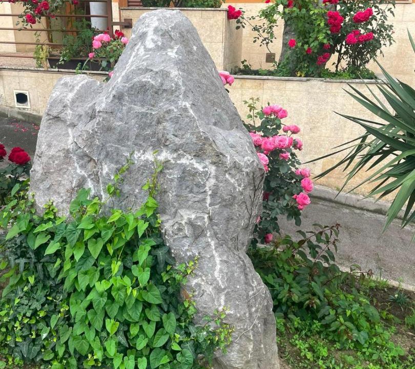Photo of Outdoor in Felechosa