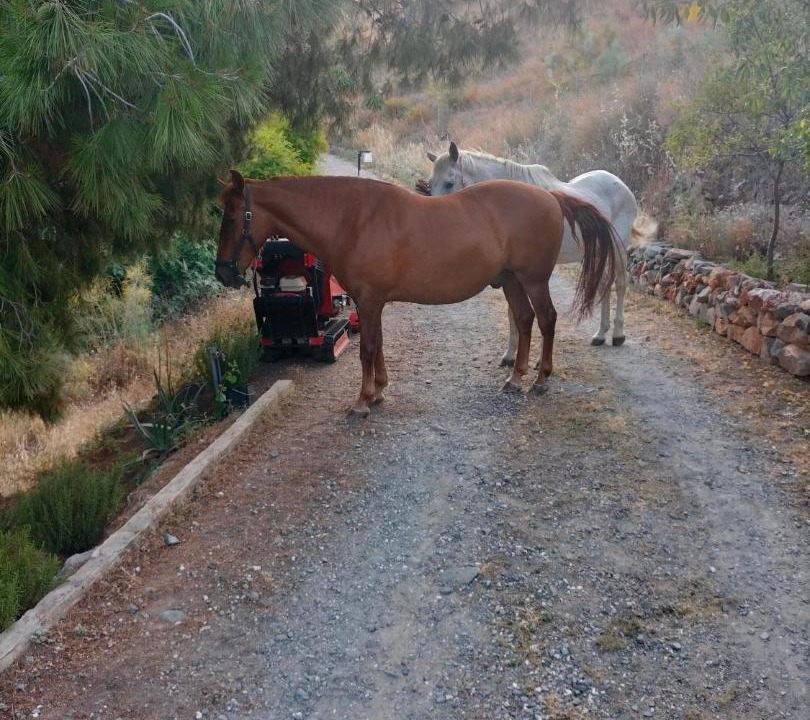 Photo of Others in Puerto de la Torre