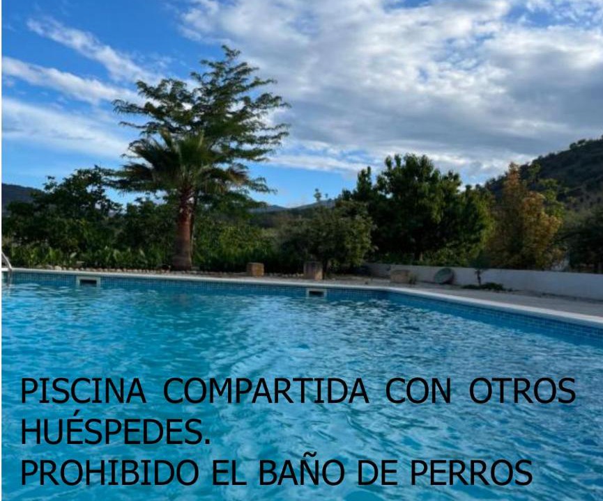Photo of Others in Alhama de Granada