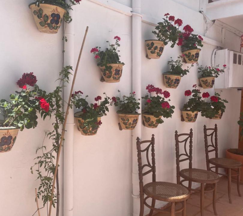 Photo of Patio Balcony in Polopos