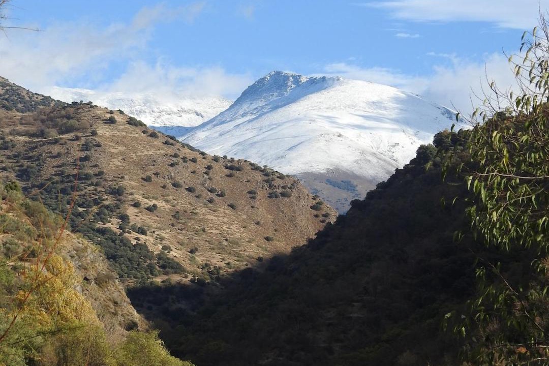 Photo of Others in Guejar Sierra