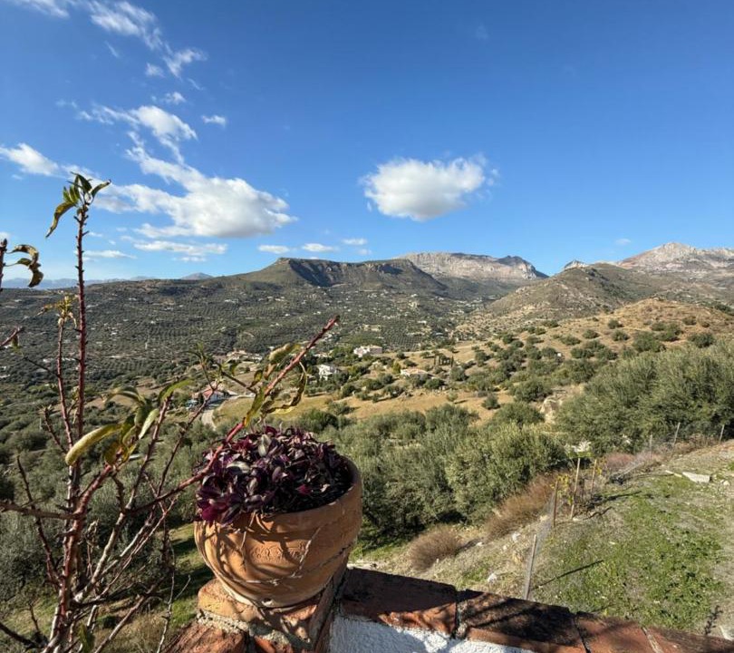 Photo of Others in Los Cortijillos