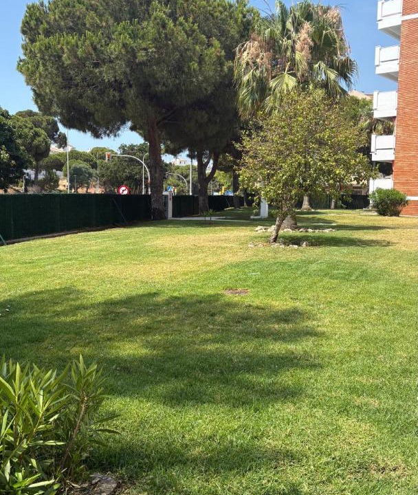 Photo of Others in El Portil