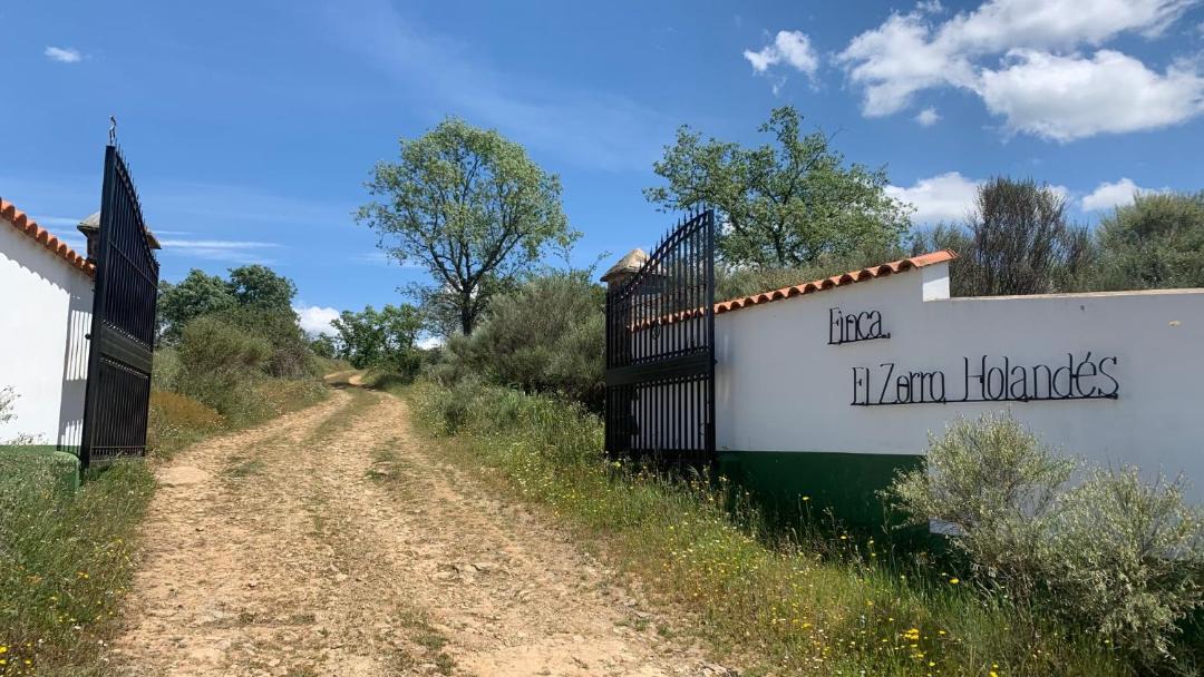 Photo of Others in Garciaz