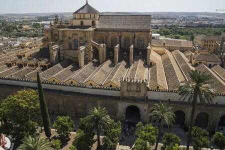 Photo of Others in La Catedral