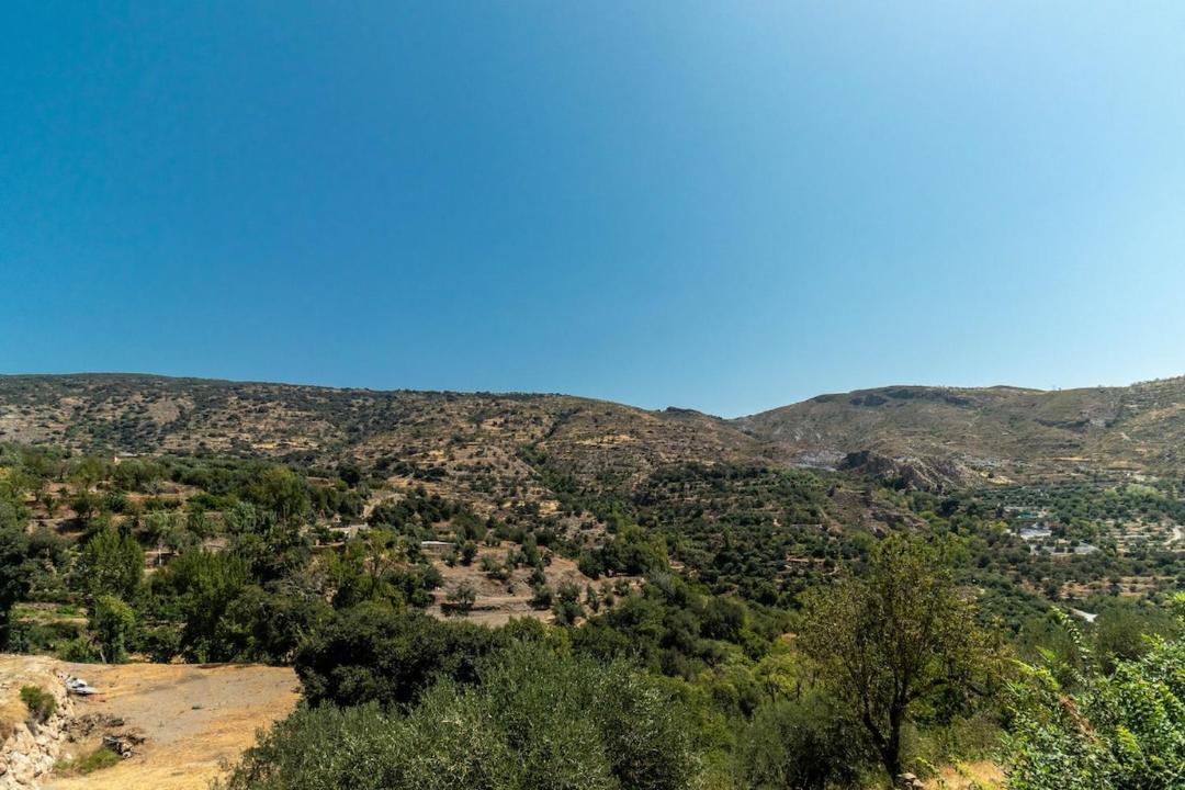 Photo of Others in Picena