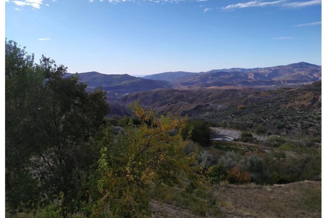 Photo of Others in Picena