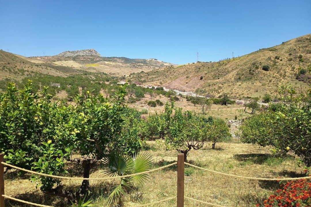 Photo of Others in Valle de Abdalagis