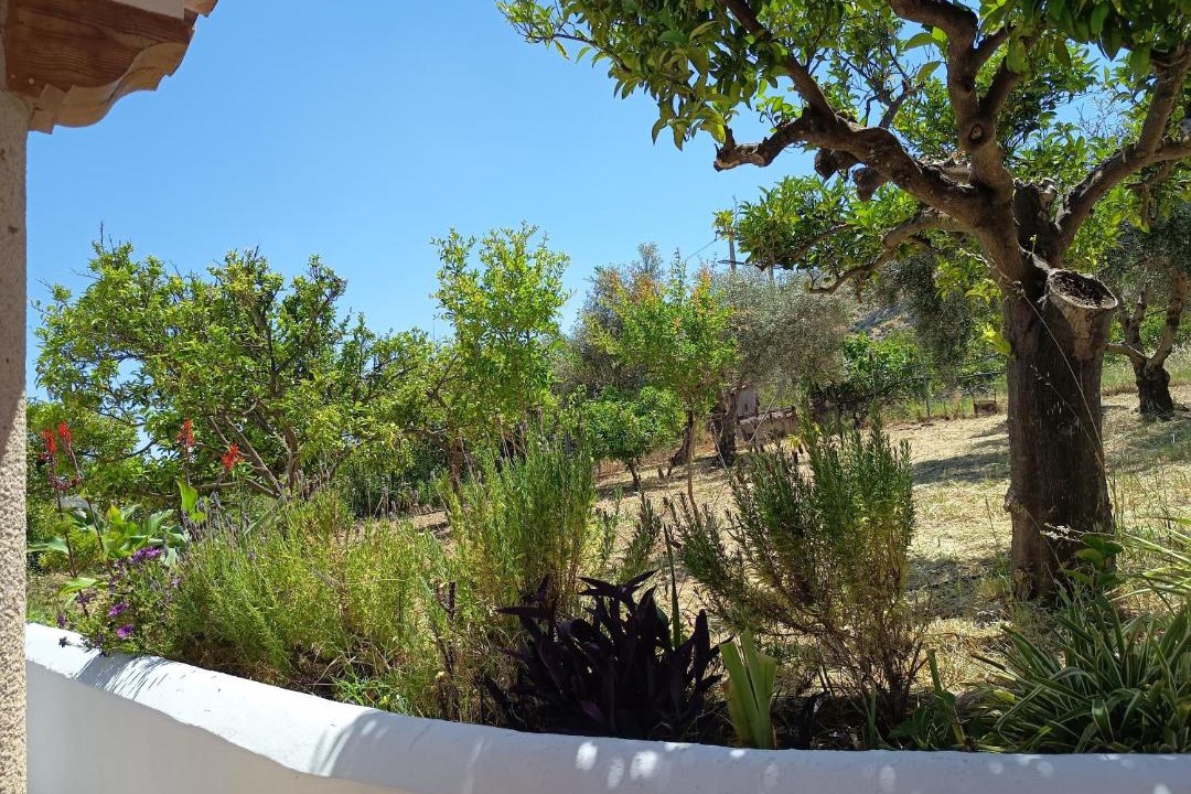 Photo of Others in Valle de Abdalagis