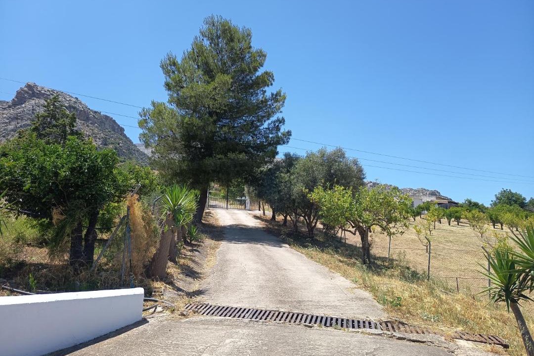 Photo of Others in Valle de Abdalagis