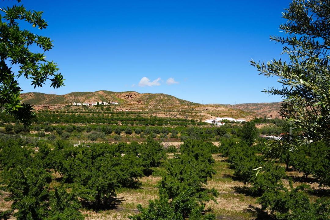 Photo of Others in Cortes y Graena