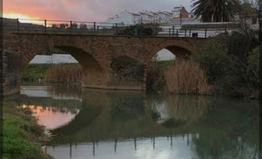 Photo of Others in Ardales