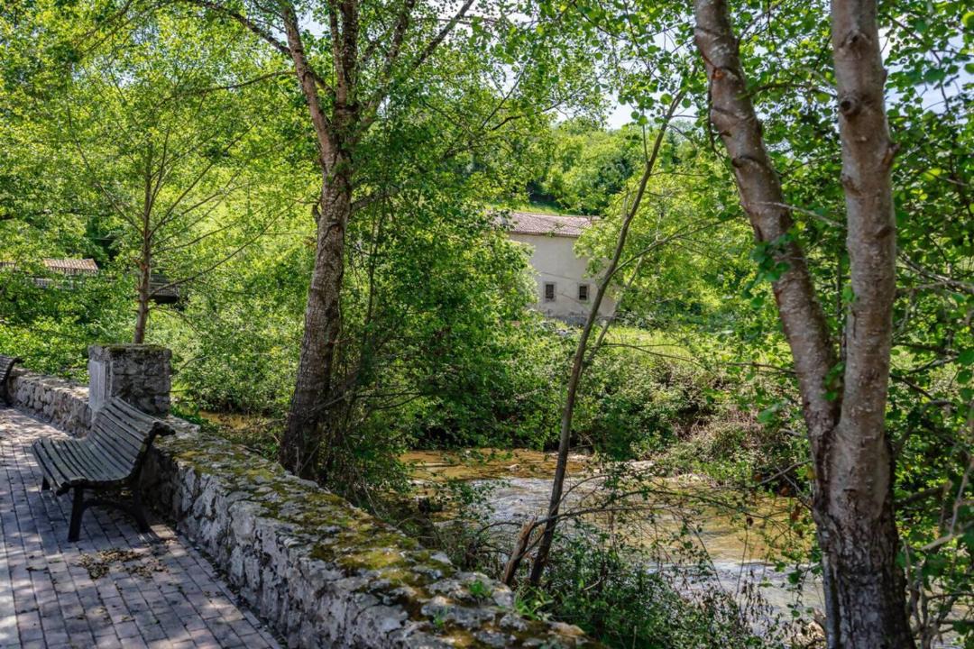 Photo of Others in Roiz