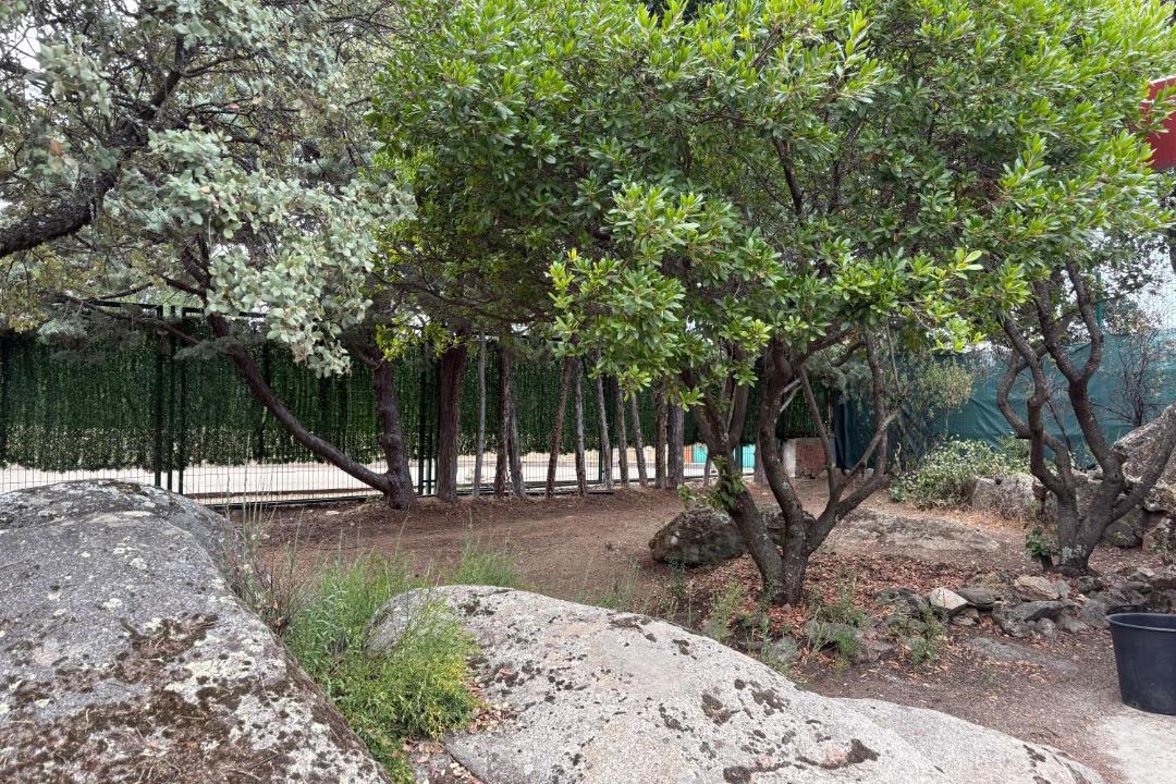 Photo of Others in Valdemorillo