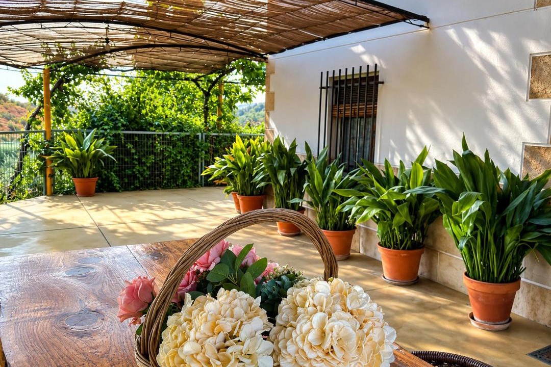 Photo of Patio Balcony in Castillo de Locubin