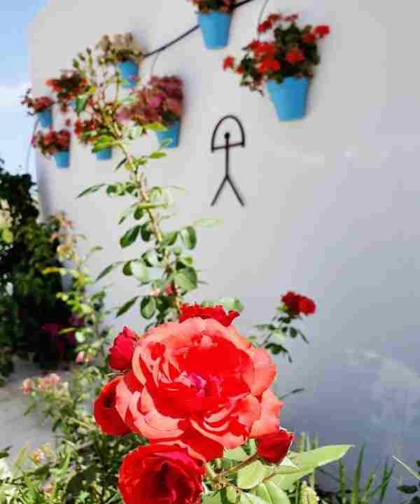 Photo of Others in Mojacar