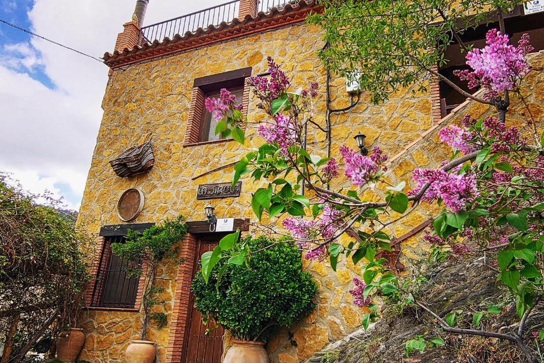 Photo of Others in Abrucena