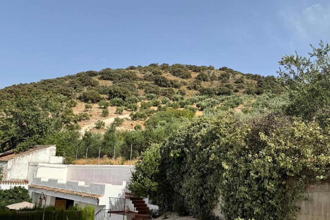 Photo of Others in Priego de Cordoba