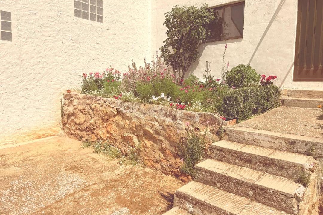 Photo of Others in Soria