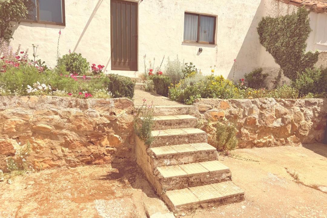 Photo of Others in Soria