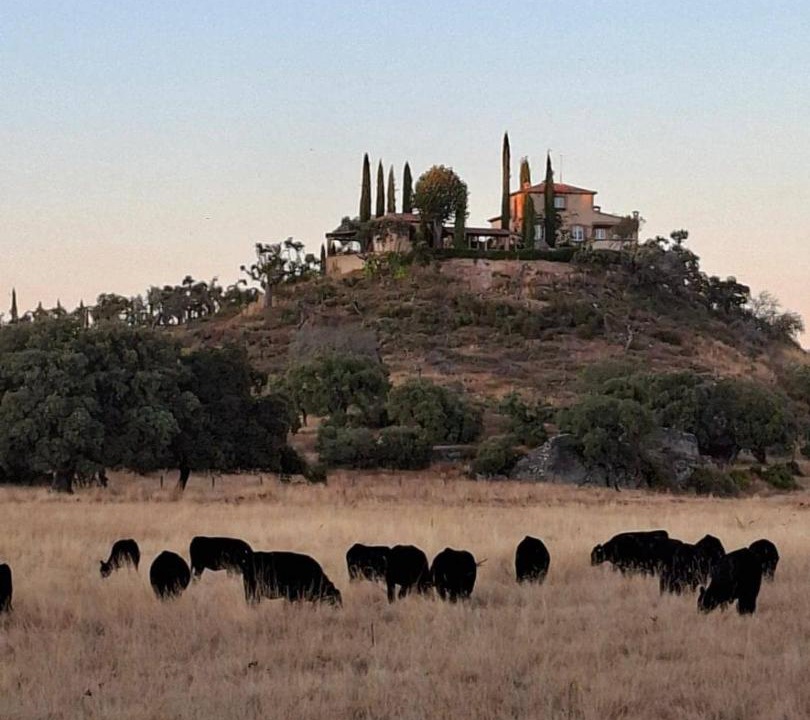 Photo of Others in San Pelayo de Guarena