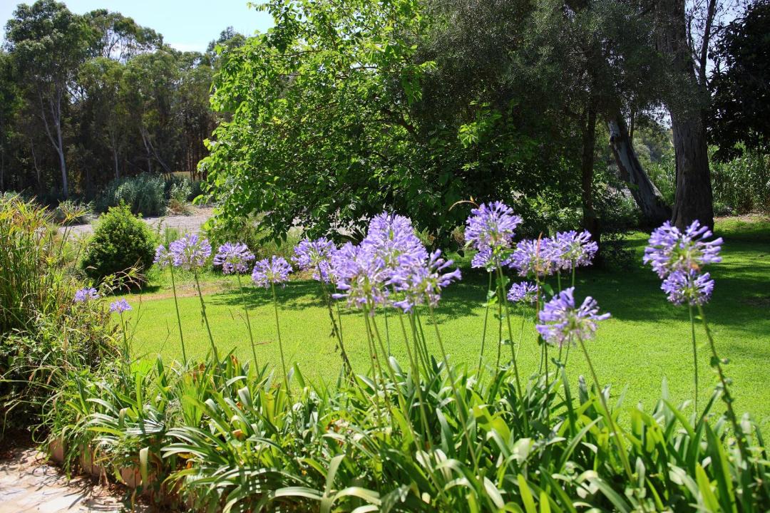Photo of Outdoor in San Roque