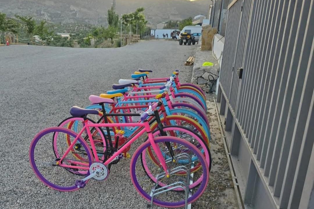 Photo of Others in Noalejo