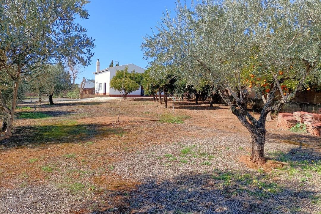 Photo of Others in Hornachuelos