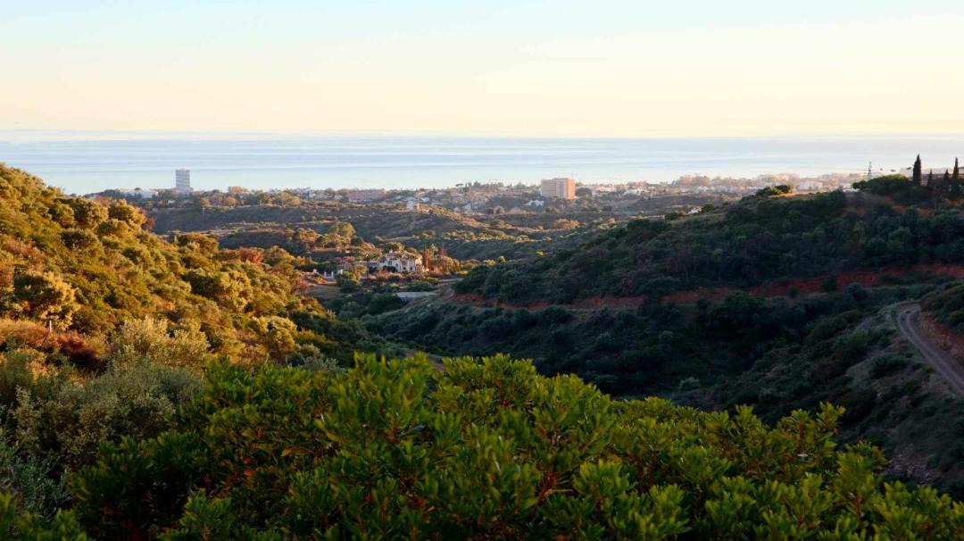 Photo of Others in Marbella
