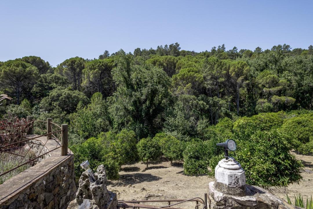 Photo of Others in Linares de la Sierra