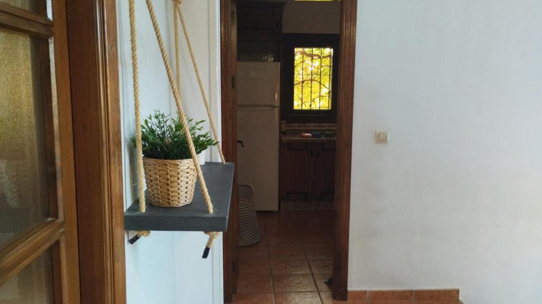 Photo of Others in Pinos de Alhaurin