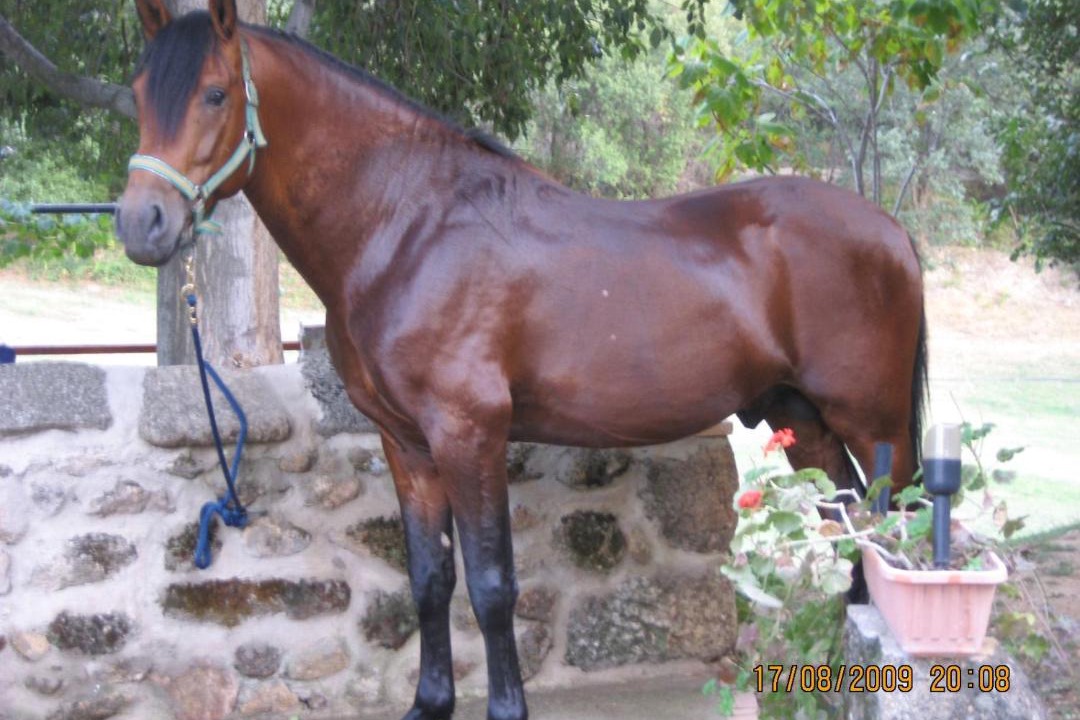 Photo of Others in Navaconcejo