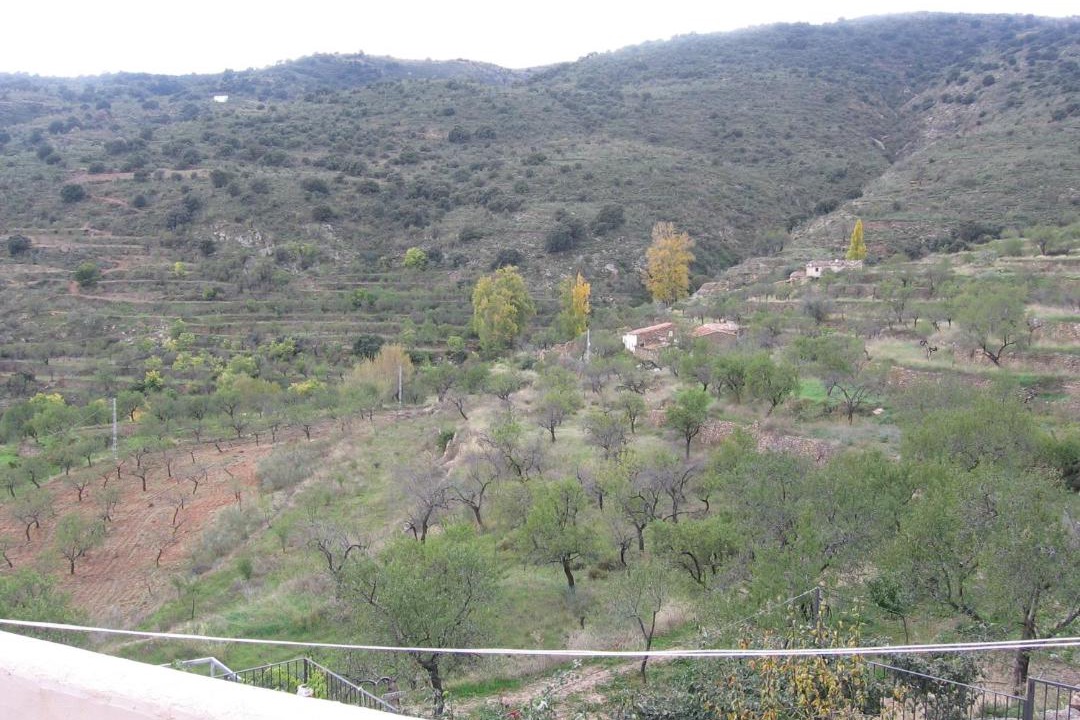 Photo of Others in Laroya
