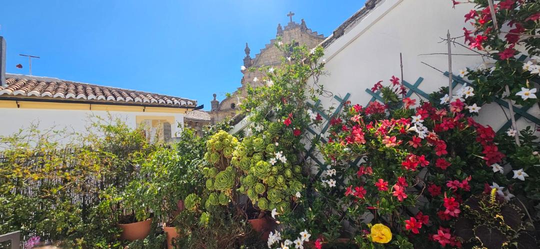 Photo of Others in Ronda