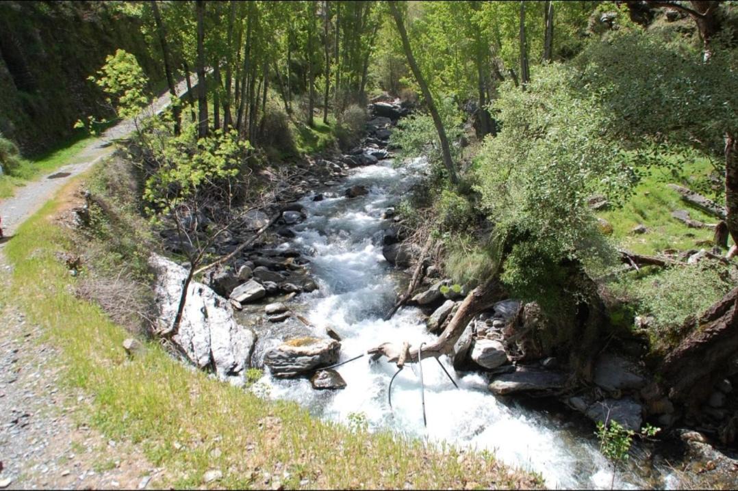 Photo of Others in Guejar Sierra