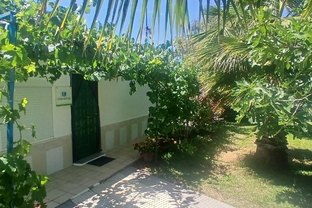 Photo of Others in Gibraleon